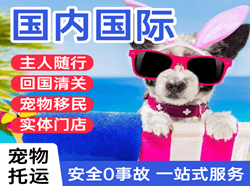 唐山航空物流国际宠物托运 【国